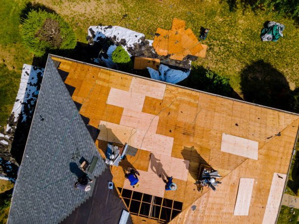 Best Metal Roofing Contractor  in Orange, CA