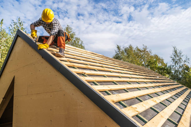 Best Roof Gutter Cleaning  in Orange, CA